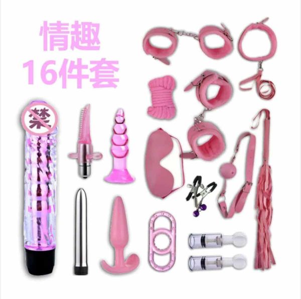 16 pcs bdsm kit
