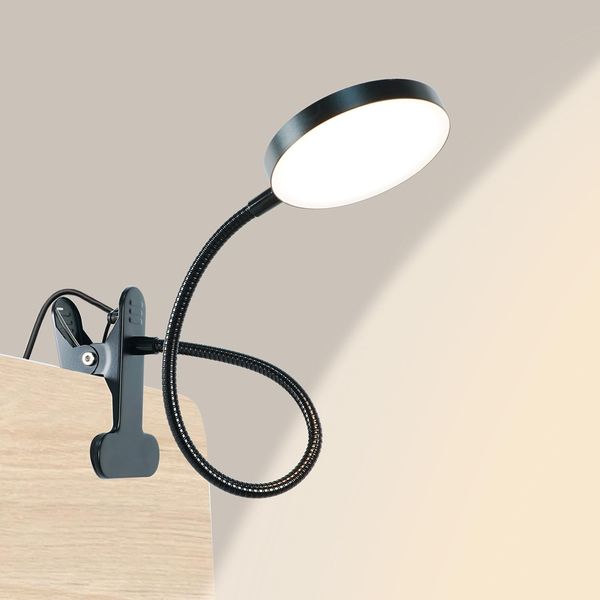 Clip-on Desk Lamp