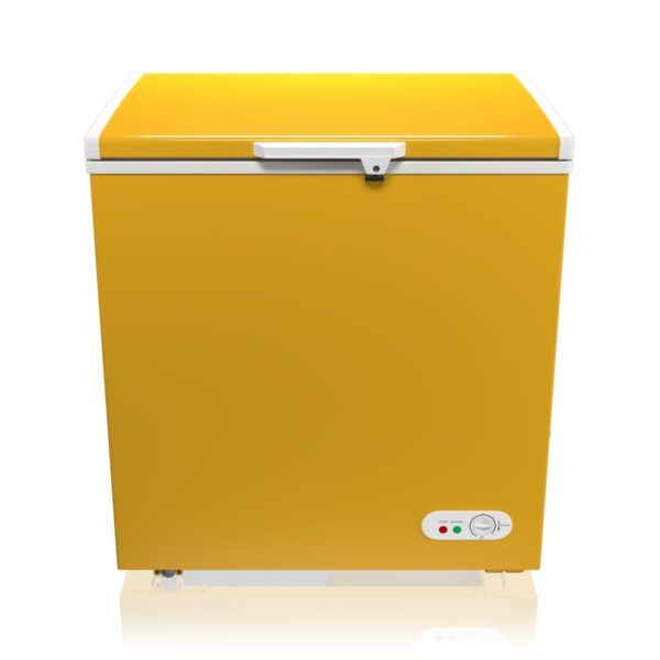 Minister Freezer D-170