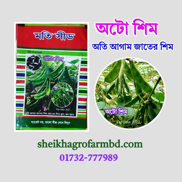 অটো শিম- (বারোমাসি শিম)
