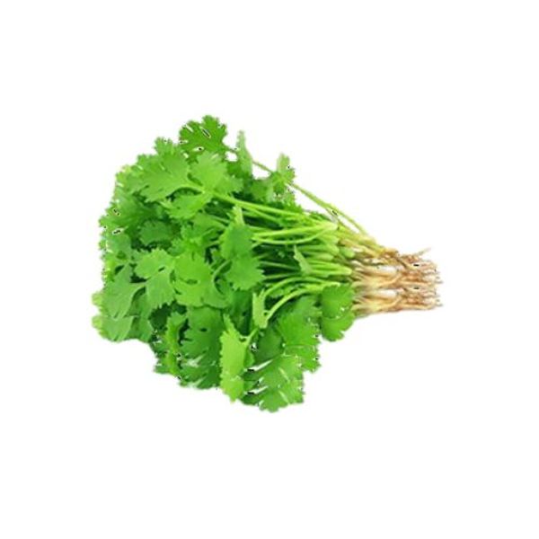 Coriander Leaves(Dhonia Pata)1 bundle ধনিয়া পাতা