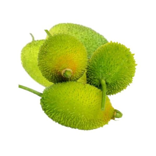 Teasel Gourd (Kakrol)500gm কাকরোল