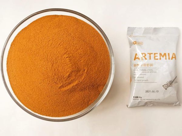 Artemia ( Decapsulated Brine shrimp egg) 60 grm