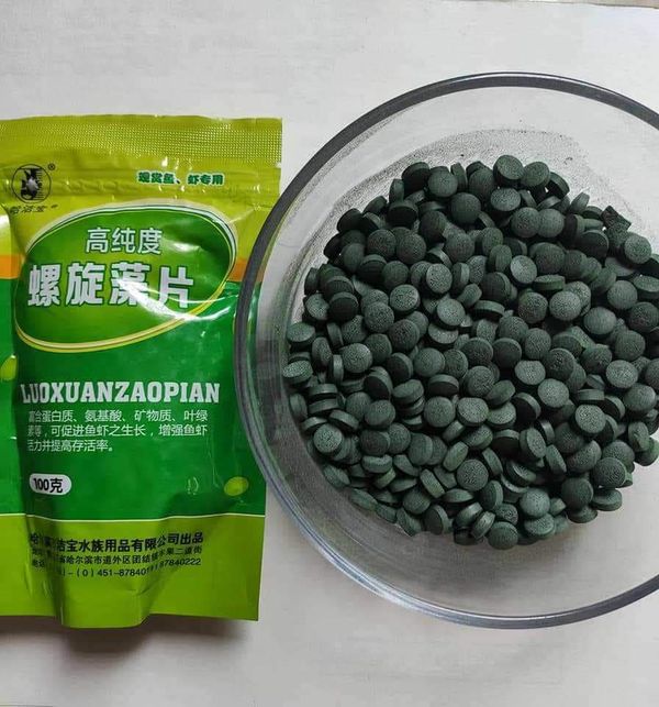 Spirulina fish food full pack ( 100 grm)