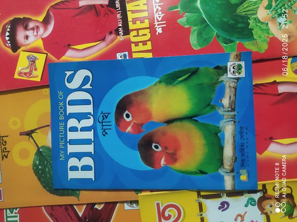Birds