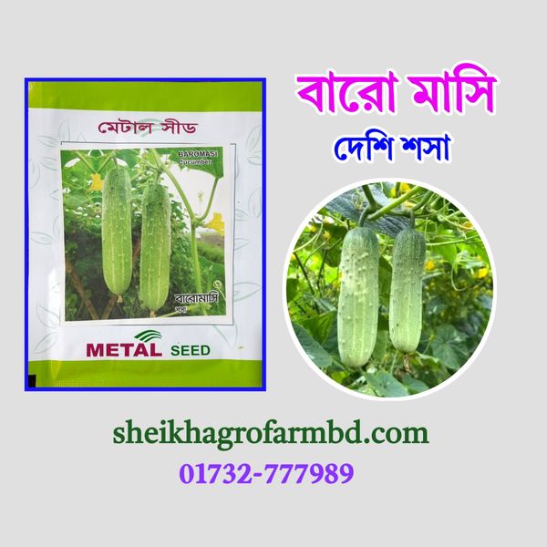 বারোমাসি দেশি শসা