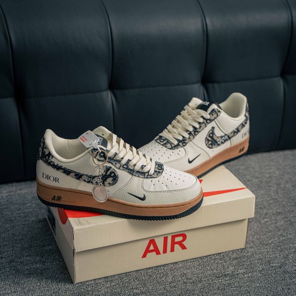 Nike Air Force x Dior