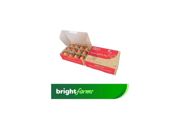 brightfarms Egg Brown Regular 12 Pieces
