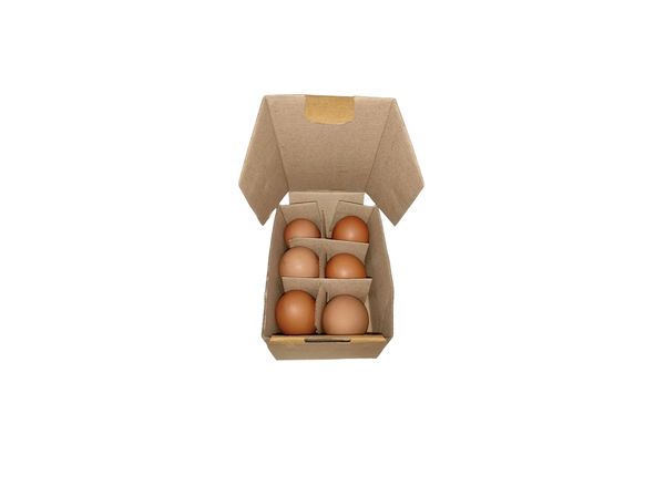 Egg Layer 6pcs