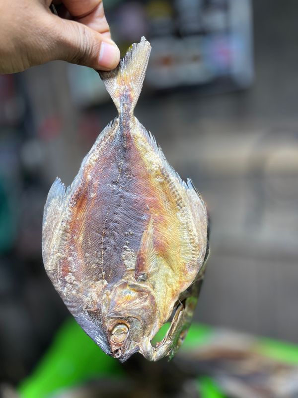 রূপচাঁদা শুঁটকি (Rupchanda)