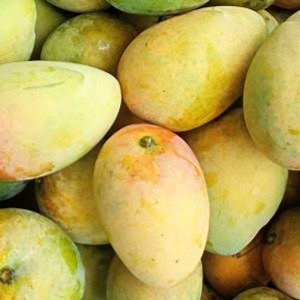 ফজলি আম