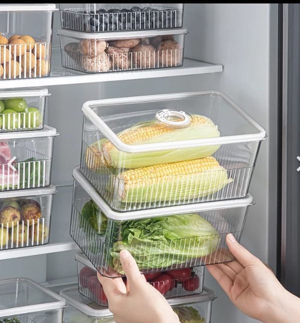 ফ্রিজ অর্গানাইজার বক্স!