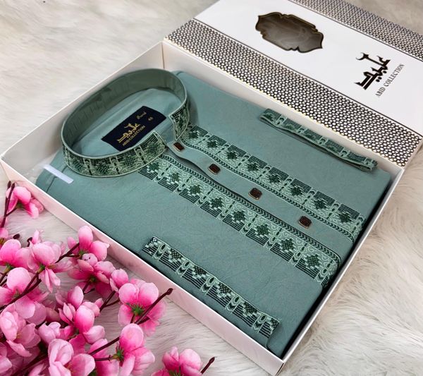 PREMIUM EMBROIDERY PANJABI || đŠĩâ¨