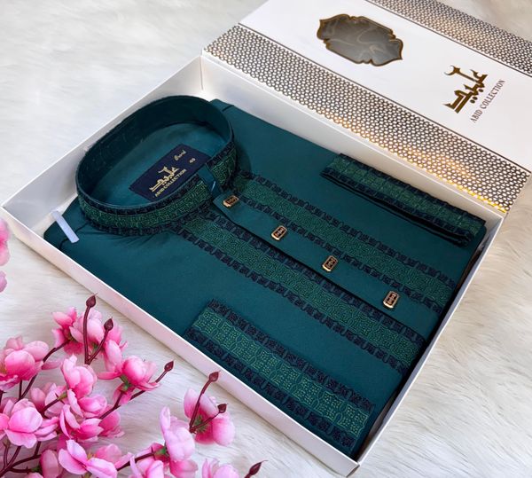 PREMIUM EMBROIDERY PANJABI || đŠĩâ¨