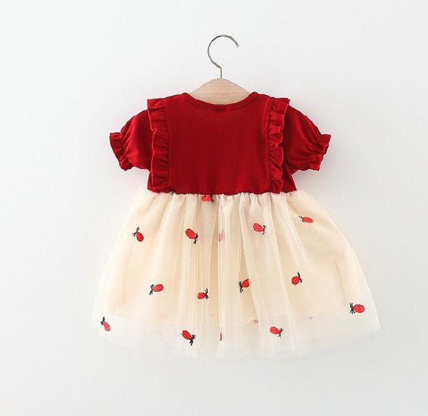 Baby Dress Girl