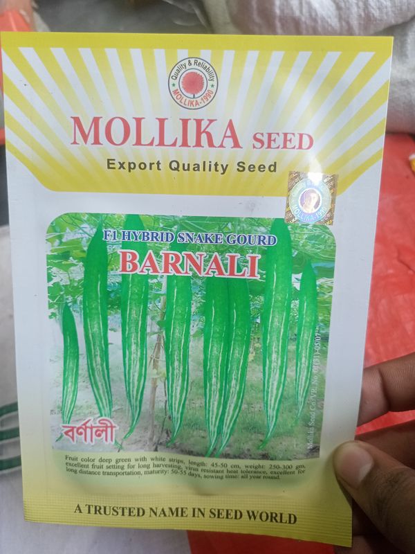 হাইব্রিড চিচিঙ্গার বীজ বর্ণালী  ।  F1 Hybrid Snake gourd seed Barnali
