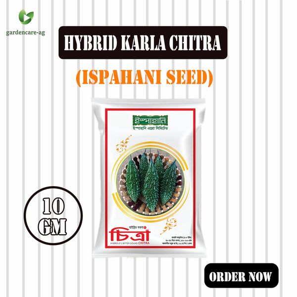 Hybrid Karla Chitra (Ispahani Seed)