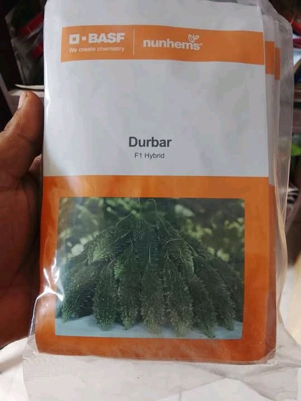 মাঝারি সাইজের হাইব্রিড করল দূর্বার । F1 Hybrid bitter gourd seeds Durbar