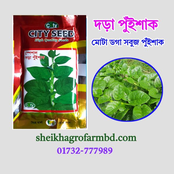 দড়া পুঁইশাক - (মোটা ডগা সবুজ পুঁইশাক)