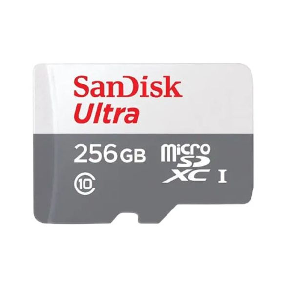 SanDisk Ultra 256GB Class-10 100mbps Micro SDXC UHS-I Memory Card (SDSQUNR-256G-GN3MN)