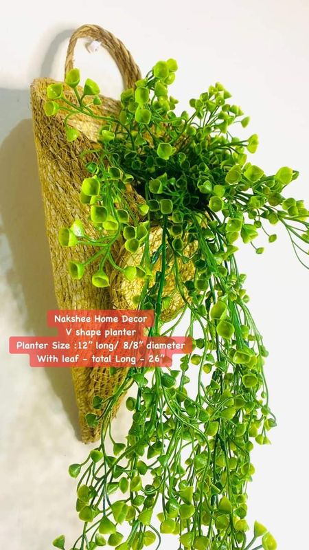V shape Planter With Shamuk Jhaar