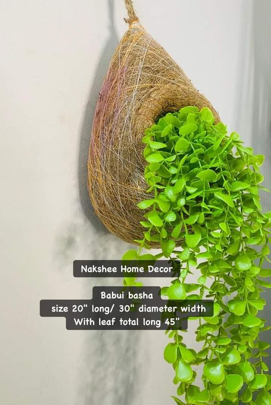 Babui Pakhir Basha with Leaf