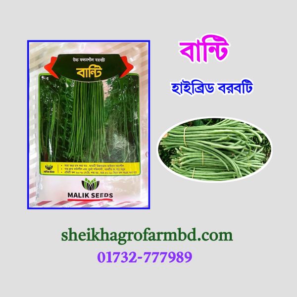 বান্টি (হাইব্রিড বরবটি)