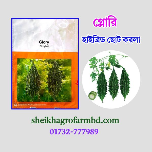 গ্লোরি (হাইব্রিড করলা)