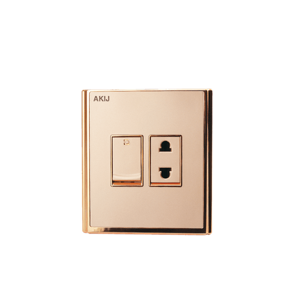 আকিজ ইনোভা ২পিন সুইচ