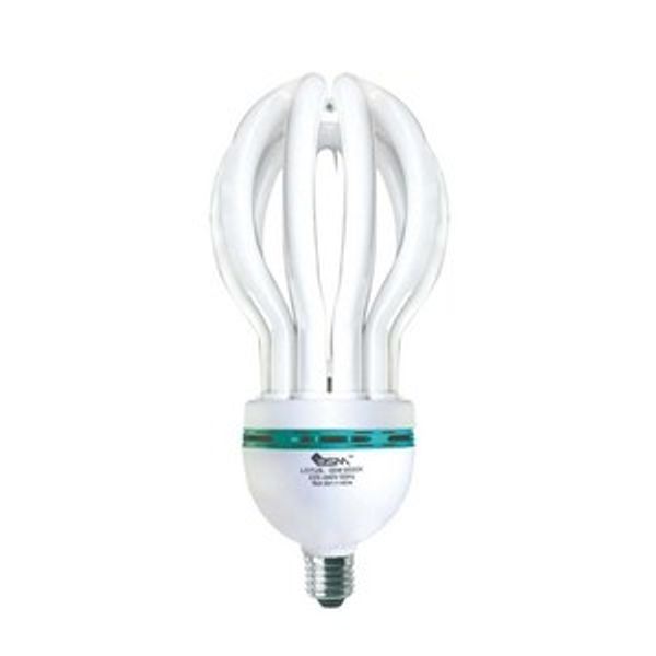 BSM Lotus Energy Light (Screw) 45 Watt