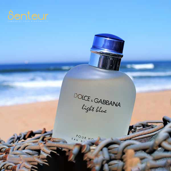 Dolce & Gabbana Light Blue Pour Homme EDT Decant