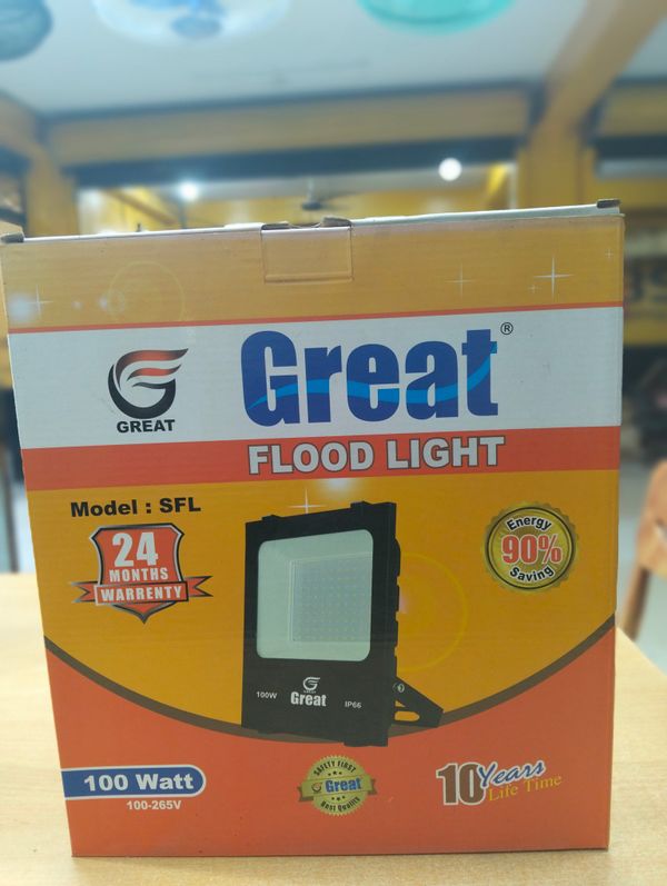 100w Flood Light (Great)