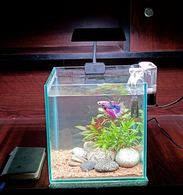 Mini hob filter 250 lph