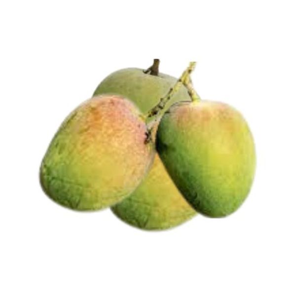 gopalvog mango 1kg গোপালভোগ আম
