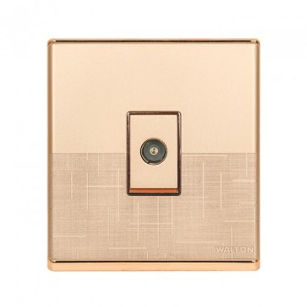 WFTVS TV Socket Fiona