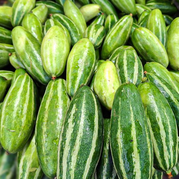 পটল ১ কেজি - potol 1 kg