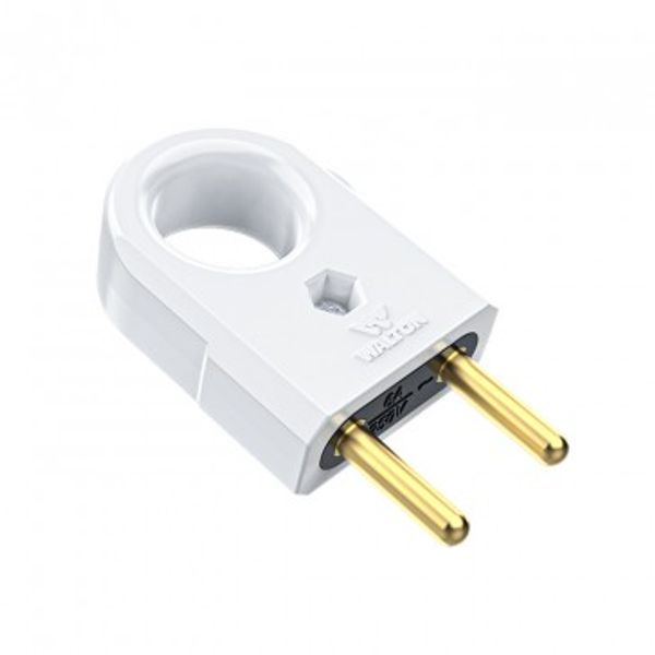 2 plug walton (6A)