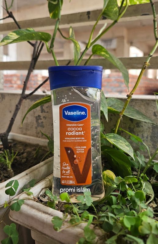Vaseline intensive care cocoa radiant body oil