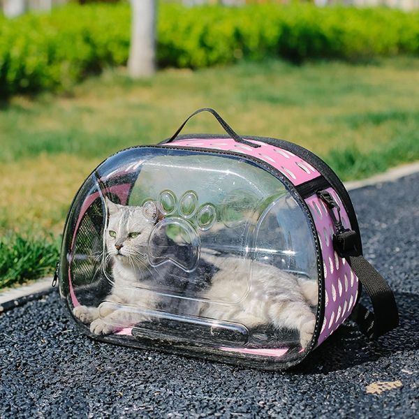 Transparent Cat Carry Bag Capsule