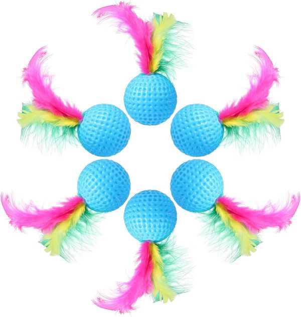 Feather Ball Toy For Cats & Dogs