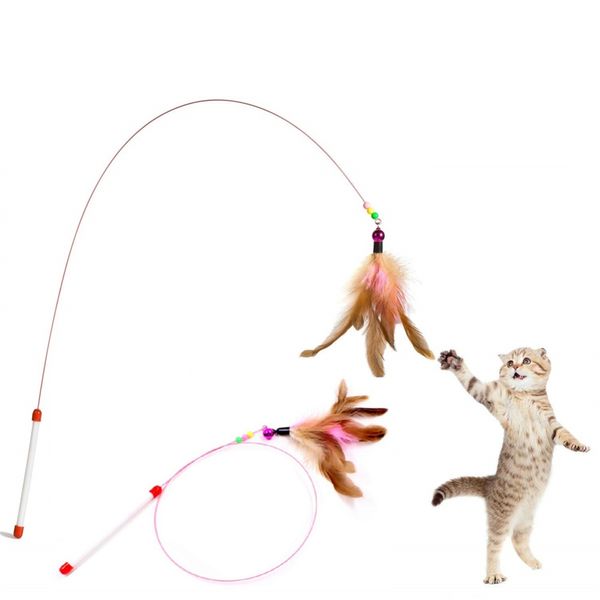 Cat Wire Teasing Toy