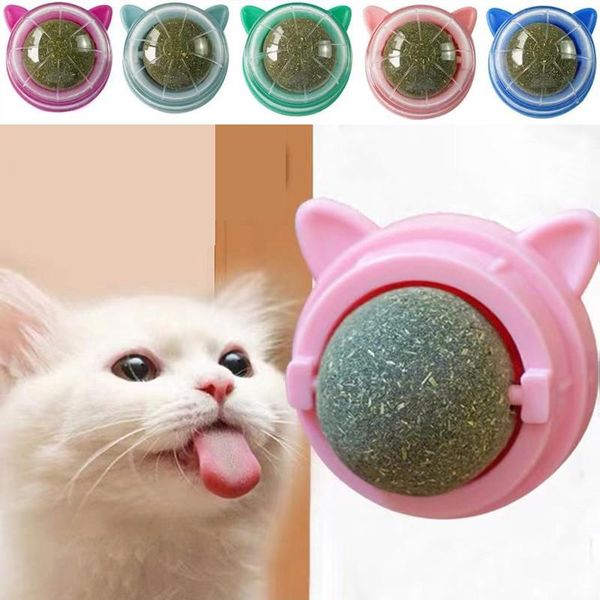 Cat Licking Mint Toy Ball (Wall Mount)