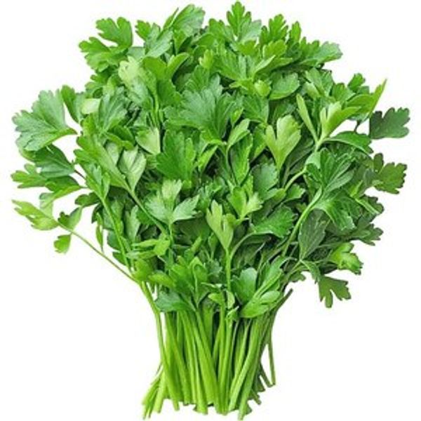 Coriander Leaves (Dhonia Pata) - 100 gm