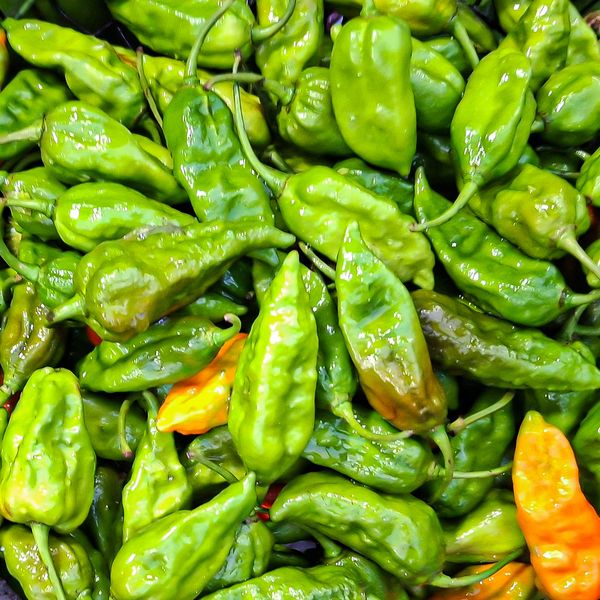 নাগা মরিচ ১ হালি - naga moric 1 hali