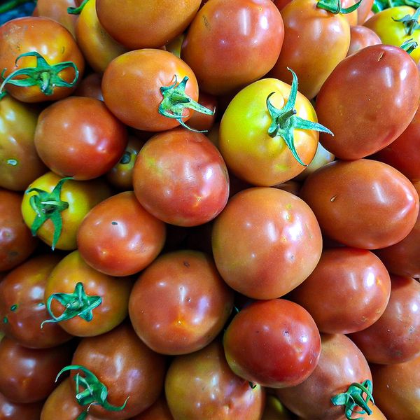 টমেটো ১ কেজি - tomato 1 kg