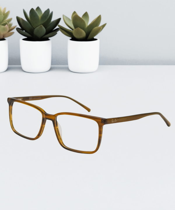Ray-Ban Stylish Eye Glass