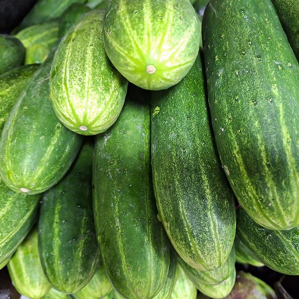 শসা ১ কেজি - shosa/cucumber 1 kg
