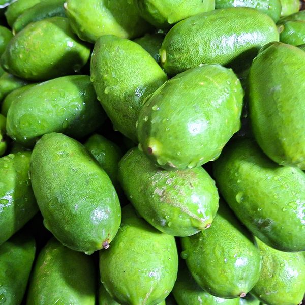 লেবু ১ হালি - lebu/o lemon 1 hali
