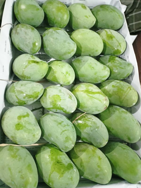 আম্রপালি ২০ কেজি পয়েন্ট ডেলিভারি - Image 2