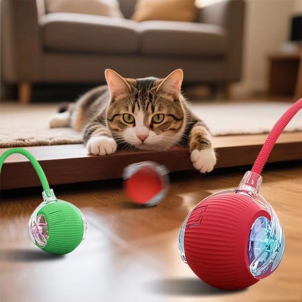 Pet Toy Ball
